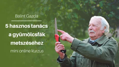 Bálint gazda tanácsai a gyümölcsfák metszéséhez